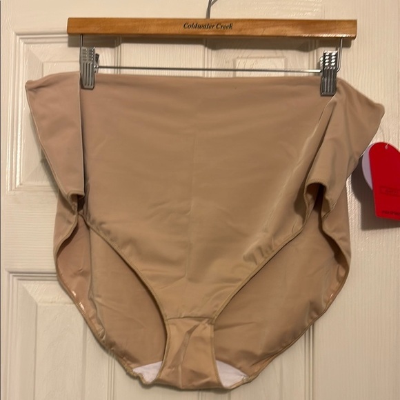 NWT SPANX Tan Hide & Seek Panty Size 3X #540 - Picture 1 of 5
